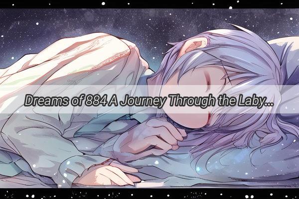 Dreams of 884 A Journey Through the Labyrinth of the Unseen World